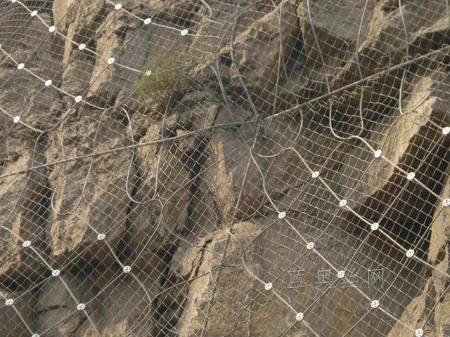 ���ӷ��o(h��)�W(w��ng)���b����