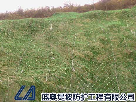 ���ӷ��o�W