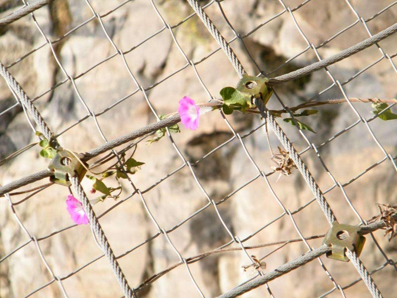 䁒�߅�·��oע�����